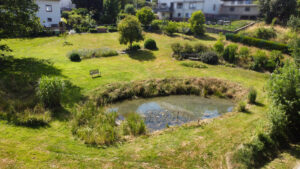 Teich