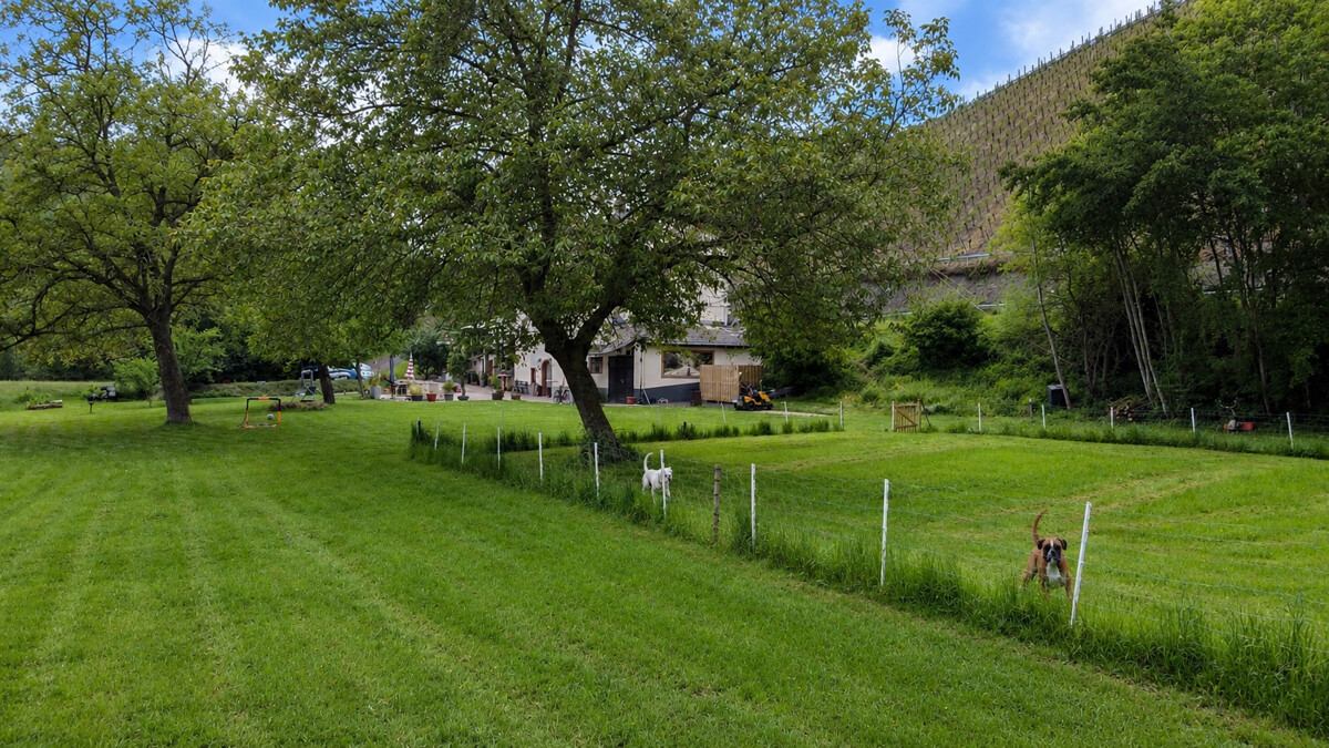 Garten