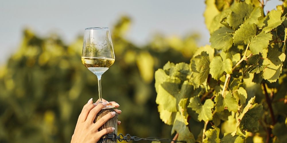 Weinfest der Mittelmosel 2026 in Bernkastel-Kues